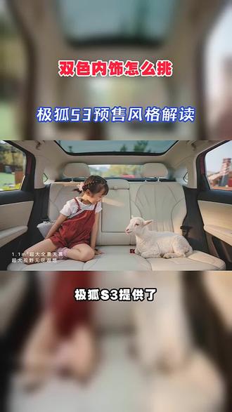 双色内饰怎么挑?极狐S3预售风格解读#越级大空间极狐S3开启预售 #极狐S3 #极狐S3预售 #极狐汽车