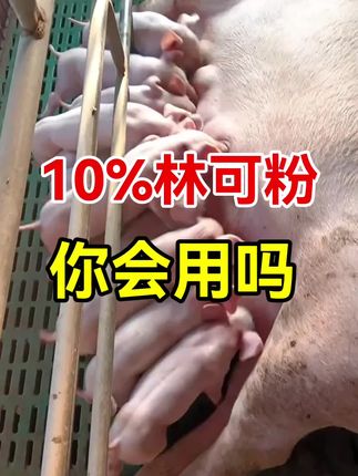 #养猪#抖音助力三农