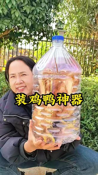 明天就是正月初四,很多朋友开始返城,爹妈亲戚送给你的鸡鸭鹅不知道怎么带回去的,可以参考一下我这个视频哦!#返城#双峰