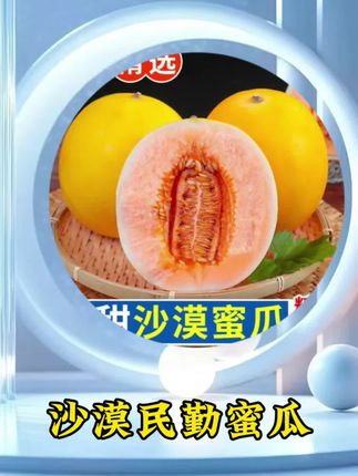 #哈密瓜 #民勤蜜瓜 #又甜又脆
