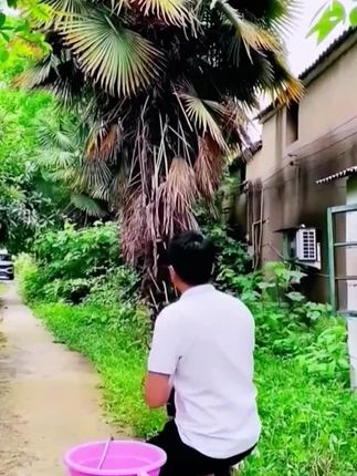 25新款无线洗车机高压水枪清洗神器充电抢大功率锂电池强力#好物推荐🔥 #高压水枪 #洗车 #无线洗车机高压水枪 #