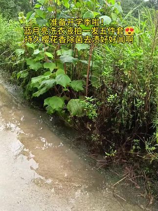 蓝月亮的内衣洗衣液都卷到这个价月亮拍一发五件套,姐妹们赶紧去抢啊#蓝月亮官方旗舰店#蓝月亮内衣液 #专用内衣洗衣液