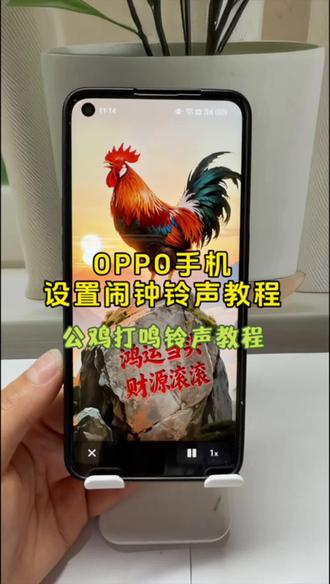 公鸡打鸣的视频怎么提取设置起床闹钟铃声?公鸡打鸣叫声设置铃声教程。攻击打鸣视频闹钟设置步骤教程非常详细,不会的赶紧学起来!#公鸡打鸣铃声设置#闹钟铃声#公鸡起床铃声#oppo手机闹钟铃声设置教程