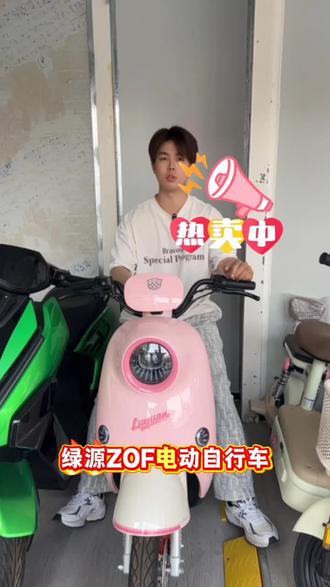 绿源ZOF电动自行车