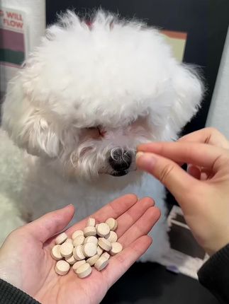 宠物鲨鱼软骨素猫狗钙片健骨关节舒补钙幼犬大中小型犬通用营养#宠物用品 #养狗经验分享