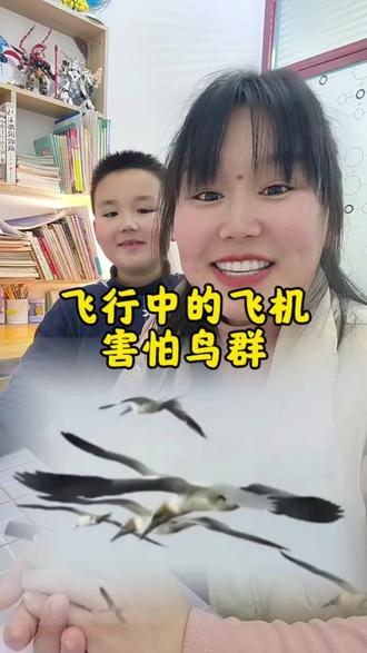 为什么飞机害怕鸟群?#抖音知识年终大赏 #亲子互动 #少儿科普
