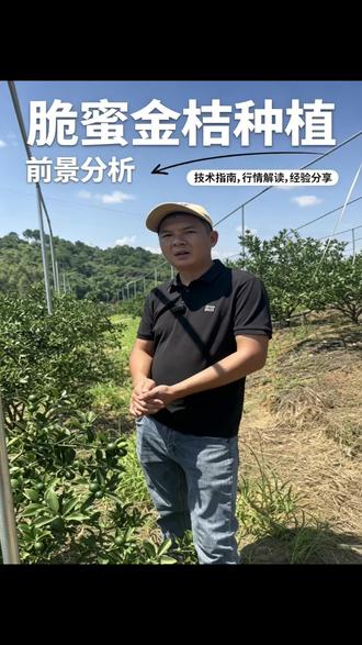 脆蜜金桔的行情以及还能不能种?个人意见!
#脆蜜金桔行情 #脆蜜金桔种植