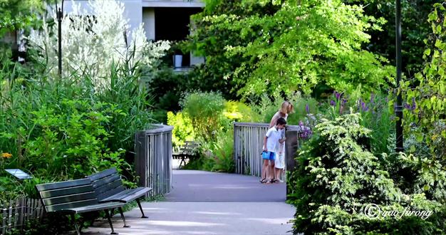 2025年5月至10月在巴黎几个公园拍到的动物集锦##