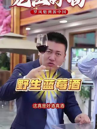 ZZ/忠芝2005野生蓝莓酒8.5度水果甜酒发酵红酒750ml*4瓶/箱JFC#老把头和老解 #罗凤魁 #蓝莓 #红酒