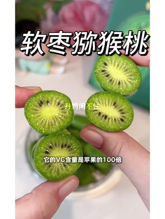 软枣猕猴桃 一年就只有一季,维C含量超丰富,膳食纤维高,软糯香甜,#应季水果 #猕猴桃#水果 #强烈推荐