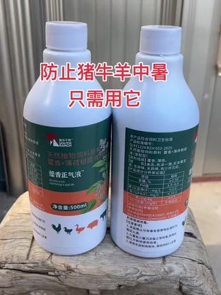 #猪牛羊养殖 #农村养羊