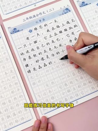 小学3-6年级语文同步满分作文练习纸好词好句优美句子积累练字帖#练字帖 #满分作文练字帖 #学生练字帖 #小学练字帖 #练字帖推荐