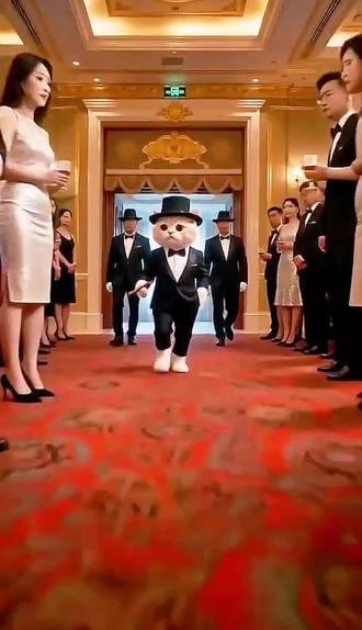 《给我↑擦↗皮↗鞋》#我要验牌 #赌神 #抖音玩法合伙人计划 #萌宠出道计划#AI萌宠特效