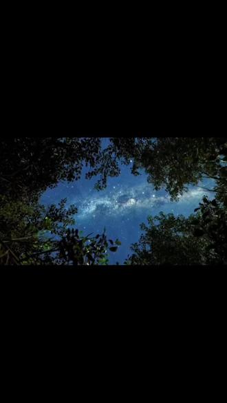 #朋友圈背景图保存方法#动态背景图保存方法#剪映#动态 #壁纸
朋友圈动态背景图保存教程来了 微信动态背景图教程 信动态背景图怎么设置 朋友圈背景图 微信动态背景图教程 动态背景图保存教程 动态背景图保存方法 动态背景图怎么保存 朋友圈动态背景图教程 微信背景图动态视频 动态壁纸怎么设置 wallpaper动态壁纸 微信动态背景图素材 动态壁纸制作教程 动态背景图获取方法 动态背景视频保存方法微信动态背景图怎么设置 朋友圈背景动态视频 微信朋友圈动态背景 朋友圈动态背景怎么设置 背景图朋友圈动态怎么设置 动态背景图怎么保存 苹果动态壁纸怎么设置 微信背景图动态模版 动态背景图朋友圈 朋友圈动态背景图 背景图动态视频 微信动态背景图免费素材 微信动态背景图设置教程 动漫背景图 二次元背景图 绝美动态背景图 动态背景图推荐 超级惊艳的动态背景图 神图君 拿图君 神图壁纸 动态壁纸 朋友圈动态背景怎么设置 朋友圈动态背景 朋友圈动态背景视频 动态背景视频 背景图动态视频 微信背景图动态视频 朋友圈动态背景 微信朋友圈动态视频 背景图动态视频 动态视频背景 你该换背景图了 动漫背景图 二次元背景图 动态背景朋友圈 动态壁纸怎么设置 wallpaper动态壁纸