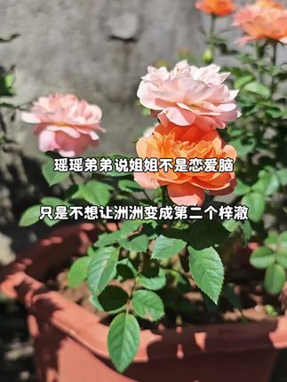 梓澈小宝贝如果你遇到了瑶瑶阿姨,一定要拉紧她的手,她真的是一个特别善良的人#保护女性安全 #瑶瑶 #梓澈 #正义