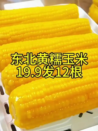 19块9到手12根,而且还都是大棒🌽#东北黄糯玉米 软糯香甜又大又糯又甜#糯玉米的营养价值 #哇又便宜又好吃 #东北甜糯玉米 #粗粮