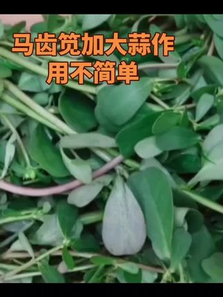 #大自然馈赠 #日常分享