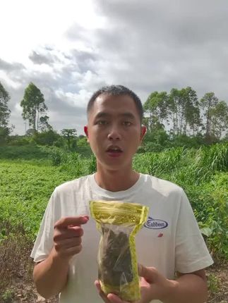 #北海 #合浦 #钦州 #本地方言