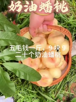 网红爆款奶油蟠桃子,清甜软糯,好吃到爆,好吃到停不下来!
