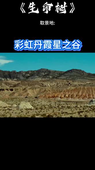 《生命树》都兰彩虹丹霞星之谷#生命树#星之谷