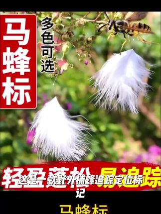 马蜂蜂标羽毛标野外捕蜂追踪定位标记红娘虎头蜂专用标马蜂标包邮