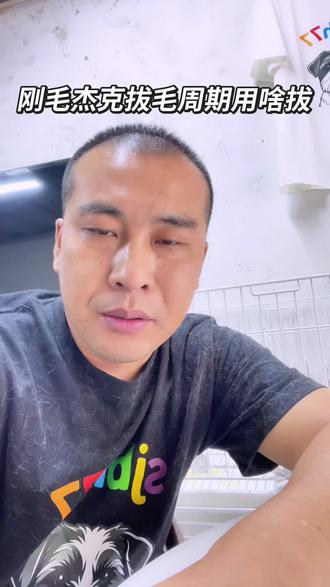 家养刚毛杰克罗素梗多久拔一次毛?用拔毛刀还是用手?#老卢哈尔滨杰克罗素梗