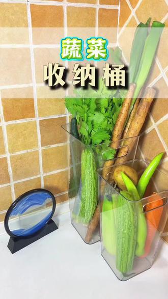 收纳的是葱,整齐的是心✨#大葱收纳神器 #蔬菜收纳置物架