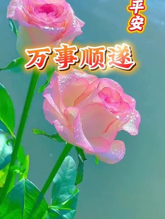 牙不好怎么办?#牙粉#炮附子青盐 #炮附子粉 #炮附子青盐刷牙粉 #倪海厦炮附子