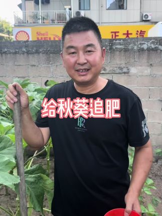 #我的乡村生活 #家庭种植 #绿色蔬菜 #种植小技巧 #龙泉鑫龙农资