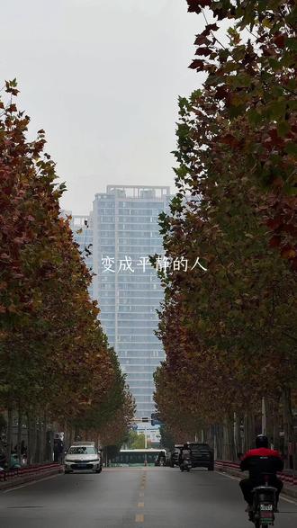 变成平静的人,这一课要流很多眼泪#vlog日常 #生活感悟 #原创视频 #记录生活 #人间烟火