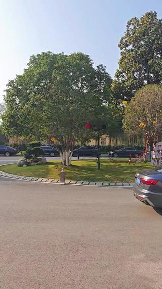 大美无锡.花都开了!我们的水上专线首航开船.鼋头渚赏樱首选湖滨饭店#赏樱花 #无锡旅游攻略 #我要上热门🔥