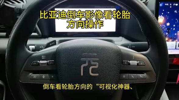 比亚迪倒车影像隐藏的小功能,对新手女司机很友好#新能源 #元up #比亚迪 #每天一个用车知识 #上热门 @DOU+小助手