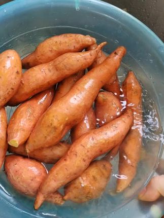 #红薯 #软糯香甜