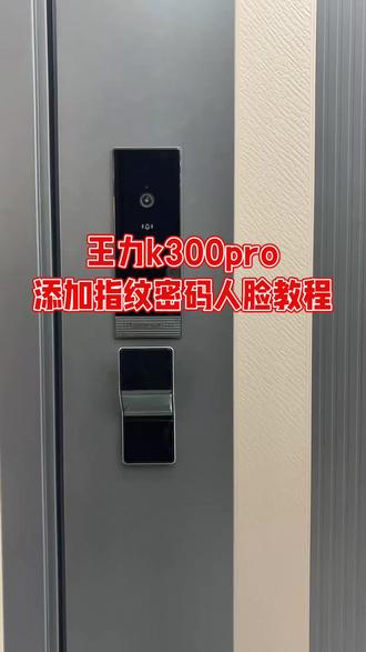 #指纹密码人脸识别智能锁 王力安全门#王力智能 #南富森美家居2号店 k300pro指纹密码设置