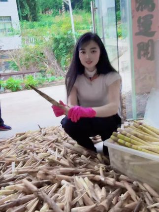 又是打竹笋的季节啦!纯天然的#歌曲孤单的秋孤单的人 #大山里纯天然绿色食品