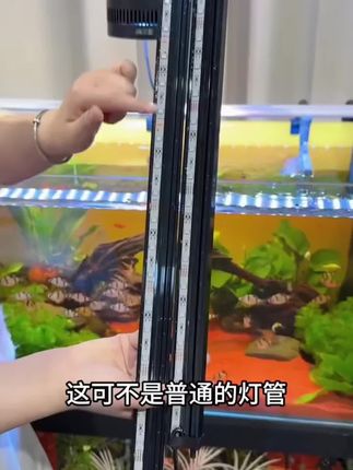 鱼缸密泡灯照明灯led防水条带增氧造景专用水族箱七彩渐变潜水灯#强烈推荐 #水族爱好者 #高端大气 #每日分享 #美观实用