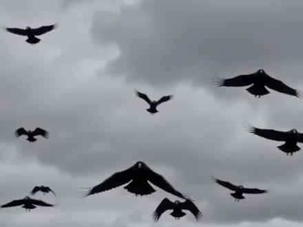 #全球高考by木苏里 我又回来了🤓