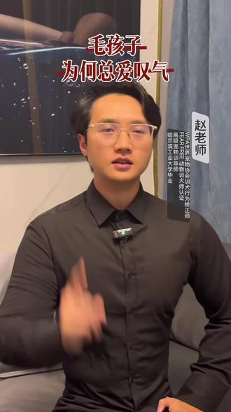 每天有吃有喝 它为什么还要“叹气”? #养宠 #狗狗叹气#猫咪叹气 #养宠知识