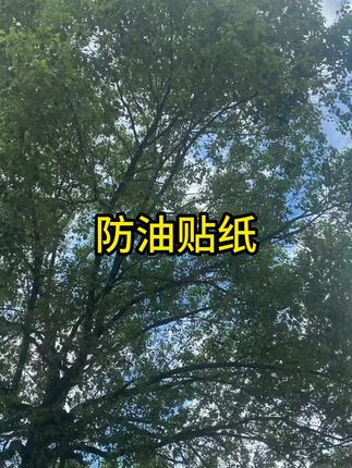 厨房防油贴纸燃气灶封边条灶台水槽边缘缝隙防水防霉防油污贴纸#防油贴纸 #防霉贴纸 #好物推荐