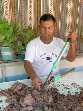 新收集的沙枣树胶 #营养头发护理