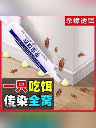 #杀蟑胶饵 #杀蟑饵剂 灭蟑螂药家用强一锅效端室内除杀虫饵剂非无毒胶饵餐厅厨房灭蟑螂#灭蟑螂 #杀蟑胶饵