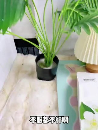 哆啦猫清风茉白豆腐混合猫砂除臭结团不易粘底低尘植物吸水2KG #好物推荐🔥 #强烈推荐 #好物分享 #宠物 #宠物好物