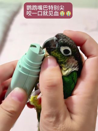 宠物电动磨甲器狗狗猫咪鹦鹉安全修指甲充电款清洁耐磨#磨甲器#宠物磨甲器#宠物磨甲器推荐 #宠物用品#宠物用品推荐