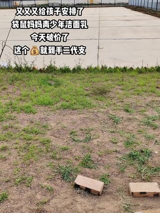 孩子到了青春期,油脂分泌多,一定要学会洗脸,清水是洗不干净脸的,我给孩子用的是袋鼠妈妈的青少年洁面乳,里面的亚马逊白泥可以深层吸附油脂,温和清洁皮肤,挤出来是这种乳液质地,泡沫绵密细腻,洗完脸清爽不拔干,家里有初中、高中生的都可以试试它。#青少年护肤#学生党护肤 #好东西一起分享 #袋鼠妈妈青少年护肤套盒#好皮肤养出来