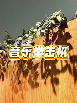 #拳击机#音乐拳击#音乐拳击机