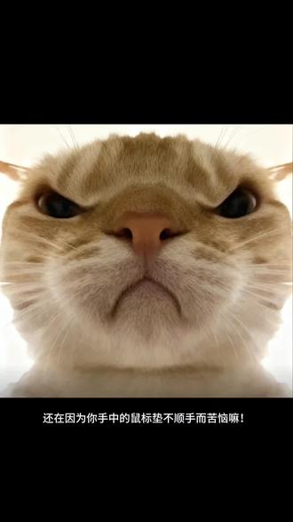 哈基垫的鼠标垫大讲解#鼠标垫#游戏外设#FPS#游戏竞技