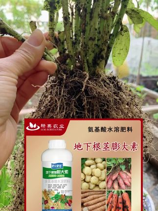 #地下根茎膨大素 #蓝鹦鹉农资店