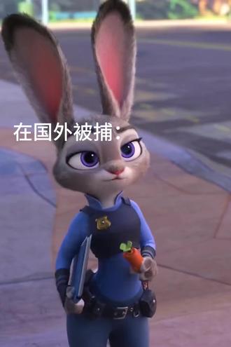 国外:尼克狐尼克,你被捕了。
国内...