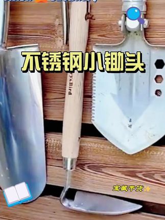 一把除草、松土两用的小锄头-不锈钢手刮锄,推荐给大家!#园艺工具 #园艺 #手刮锄 #爱花爱生活