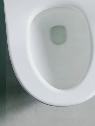 #香氛洁厕剂#去污渍效果很好 #还有清香的味道#卫生间好物 #